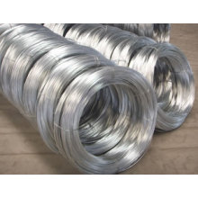 Electro &amp; Hot Dipped Galvanized Iron Wire Factory (W-COIL)